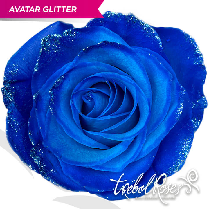avatar-glitter-tinted-trebolroses-web-2023