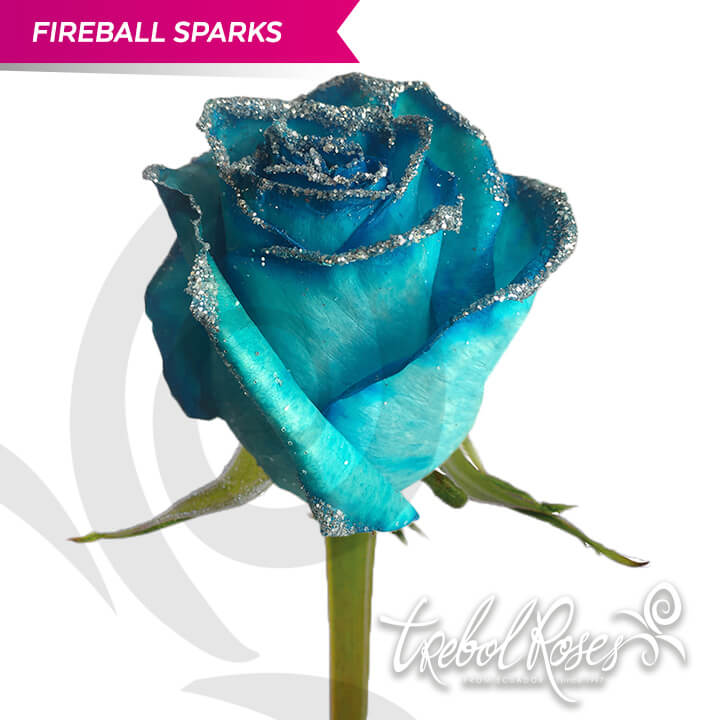 fireball-sparks-glitter-tinted-trebolroses-web-2023
