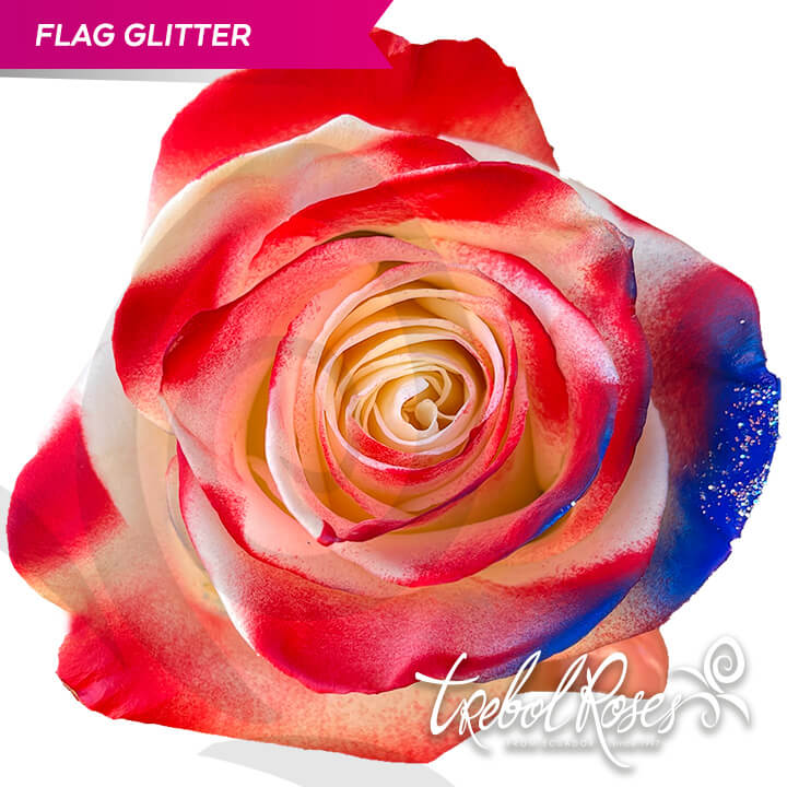 flag-glitter-tinted-trebolroses-web-2023