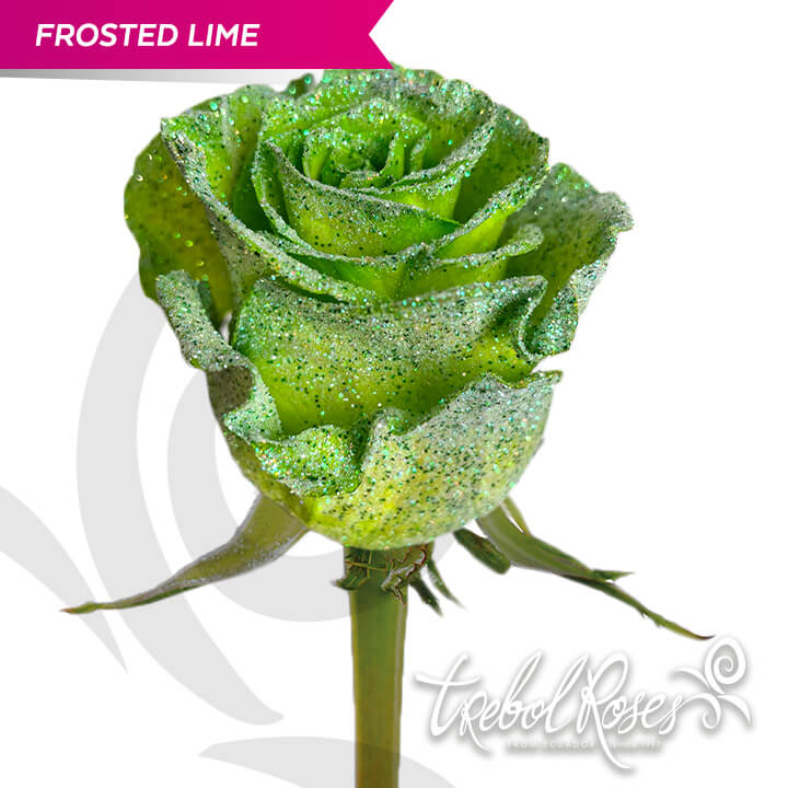 frosted-lime-glitter-tinted-trebolroses-web-2023