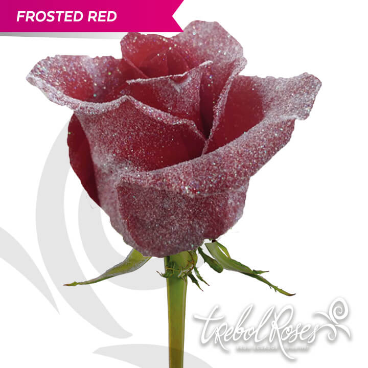 frosted-red-glitter-tinted-trebolroses-web-2023