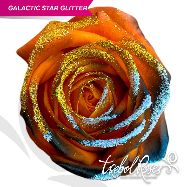 galactic-star-glitter-tinted-trebolroses-web-2023