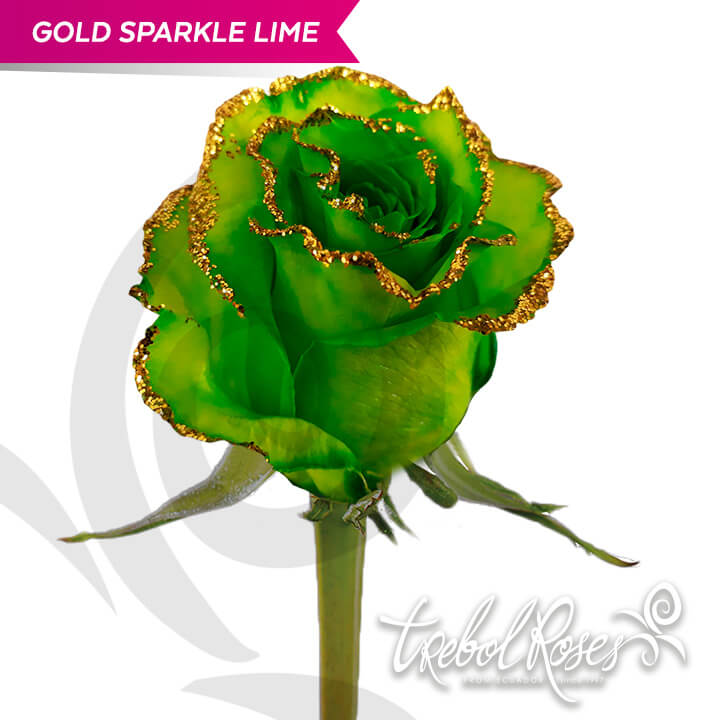 gold-sparkle-lime-glitter-tinted-trebolroses-web-2023