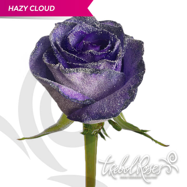 hazy-cloud-glitter-tinted-trebolroses-web-2023