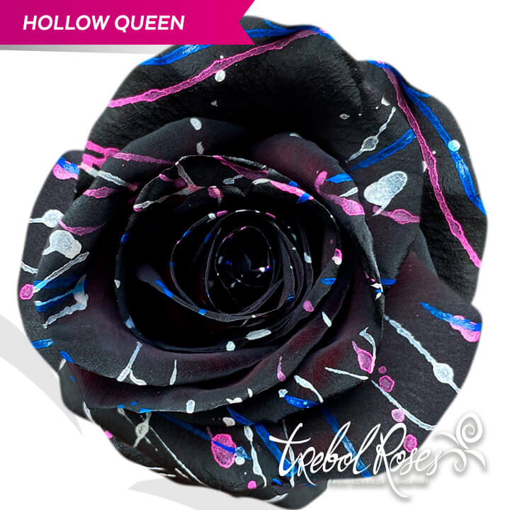 hollow-queen-splash-tinted-trebolroses-web-2023
