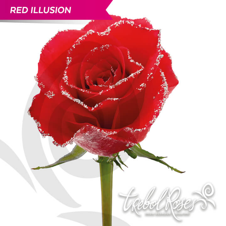red-illusion-glitter-tinted-trebolroses-web-2023