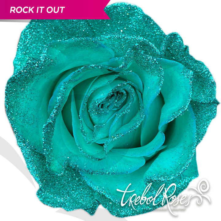 rock-it-out-glitter-tinted-trebolroses-web-2023