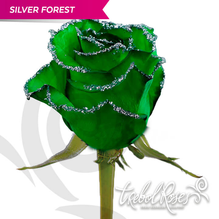 silver-forest-glitter-tinted-trebolroses-web-2023