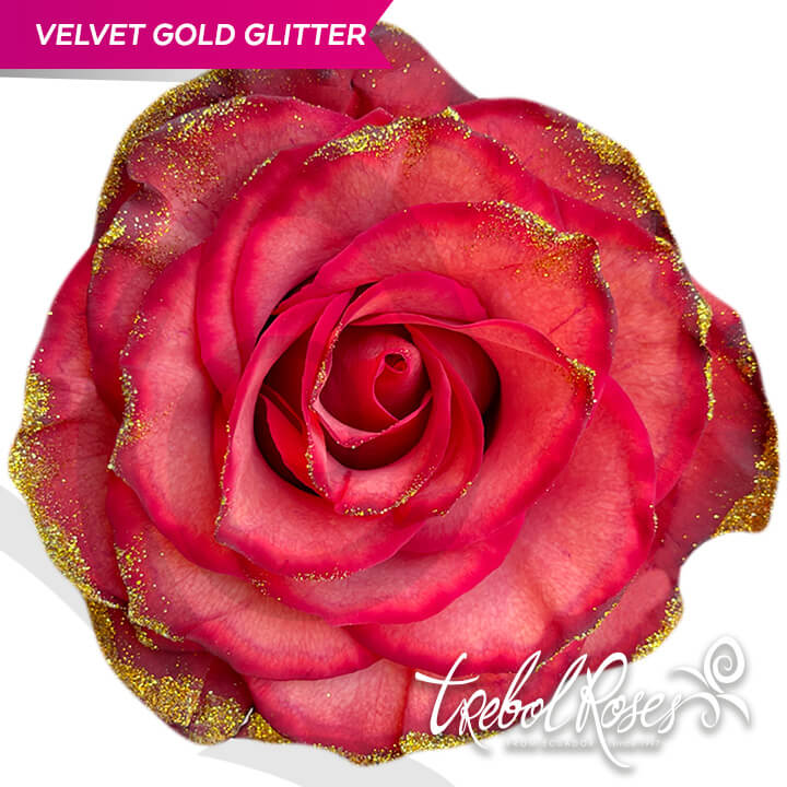 velvet-gold-glitter-tinted-trebolroses-web-2023