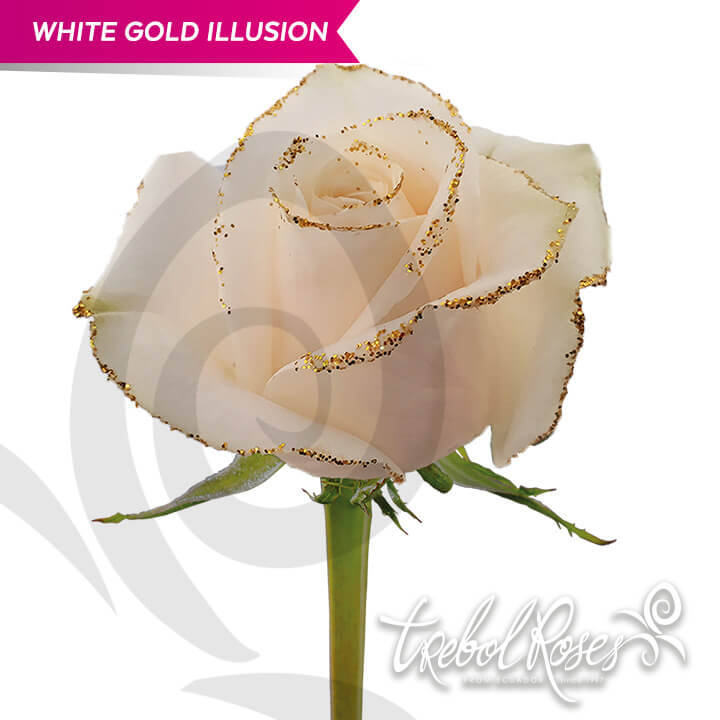 white-gold-illusion-glitter-tinted-trebolroses-web-2023