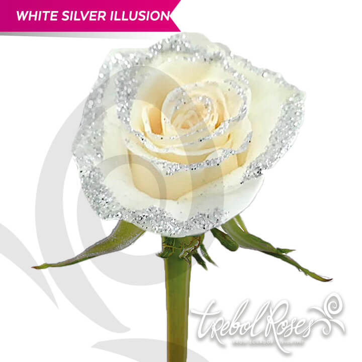 white-silver-illusion-glitter-tinted-trebolroses-web-2023