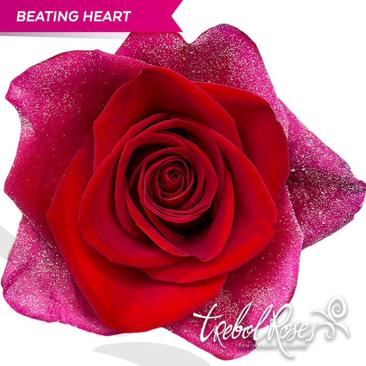 beating-heart-glitter-tinted-trebolroses-web-2023