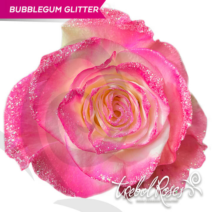 bubblegum-glitter-tinted-trebolroses-web-2023