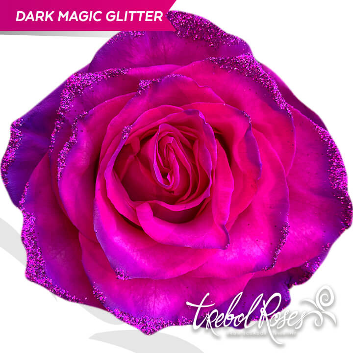 dark-magic-glitter-tinted-trebolroses-web-2023