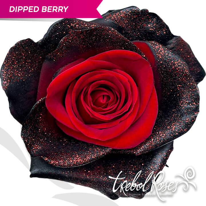 dipped-berry-glitter-tinted-trebolroses-web-2023