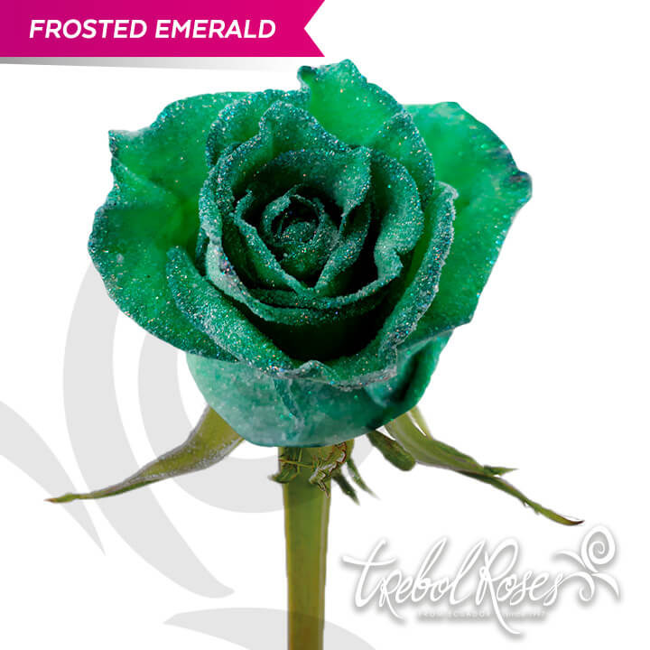 frosted-emerald-glitter-tinted-trebolroses-web-2023