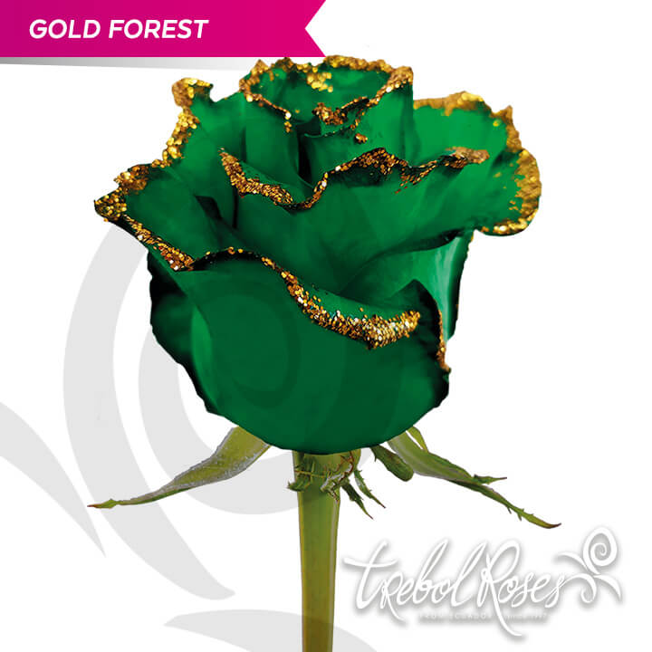 gold-forest-glitter-tinted-trebolroses-web-2023