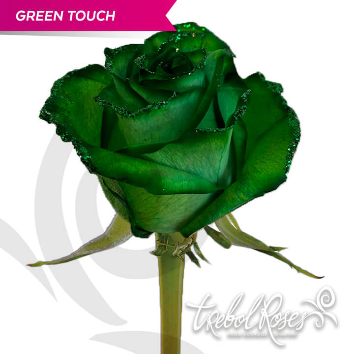 green-touch-glitter-tinted-trebolroses-web-2023