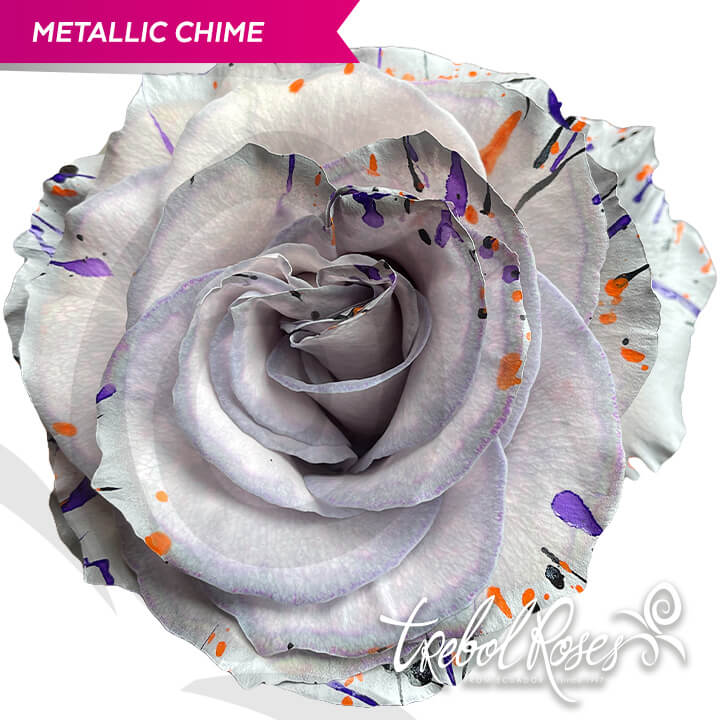 metallic-chime-splash-tinted-trebolroses-web-2023