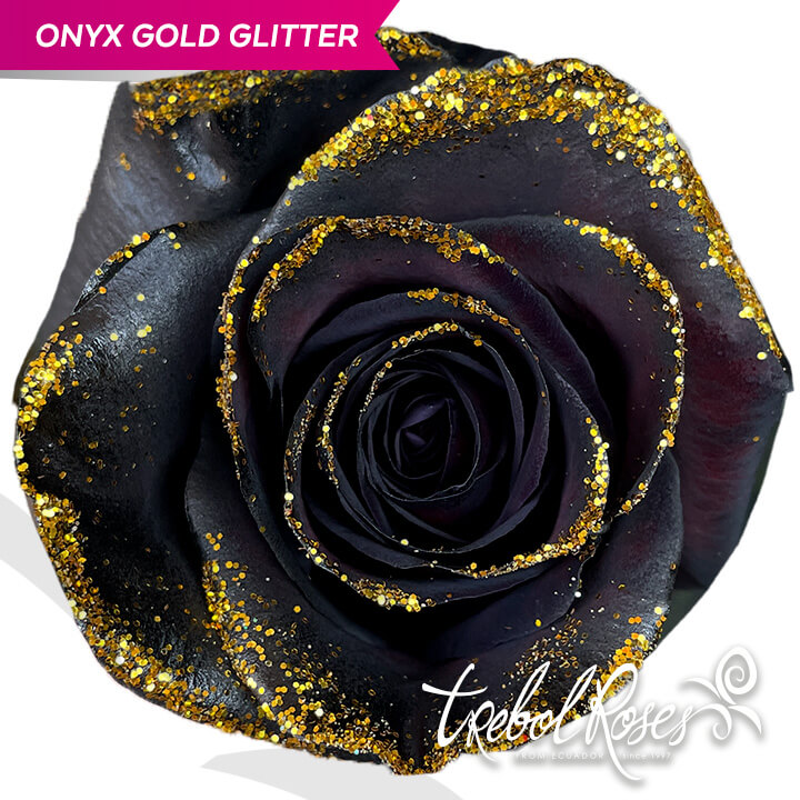onyx-gold-glitter-tinted-trebolroses-web-2023