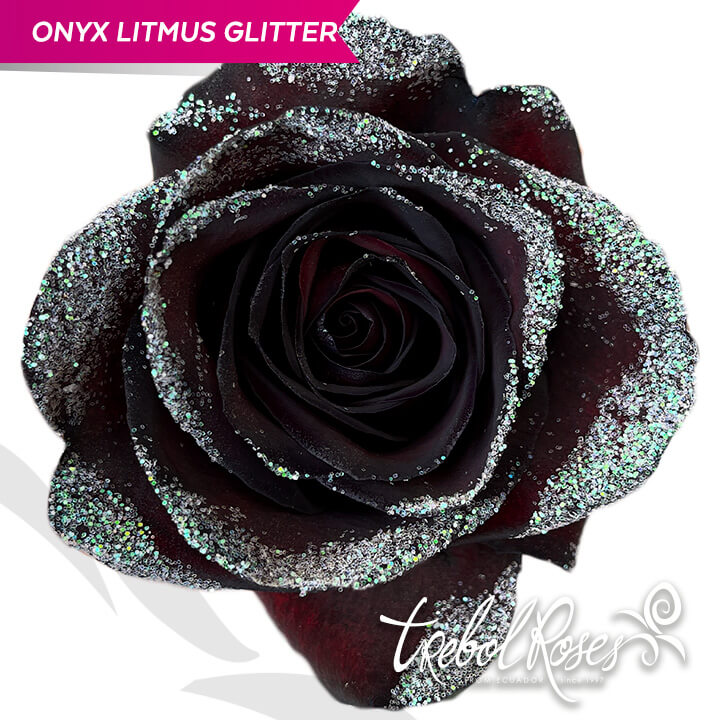 onyx-litmus-glitter-tinted-trebolroses-web-2023