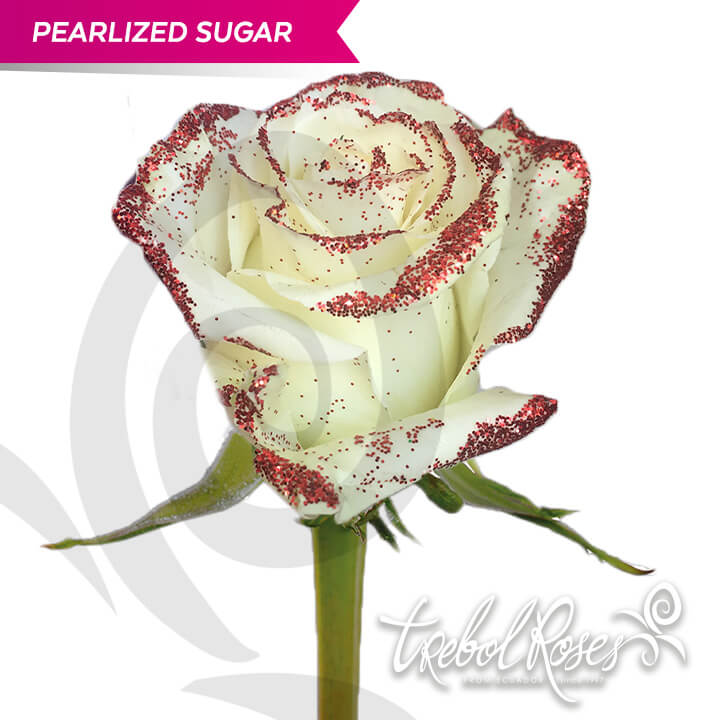 pearlized-sugar-glitter-tinted-trebolroses-web-2023