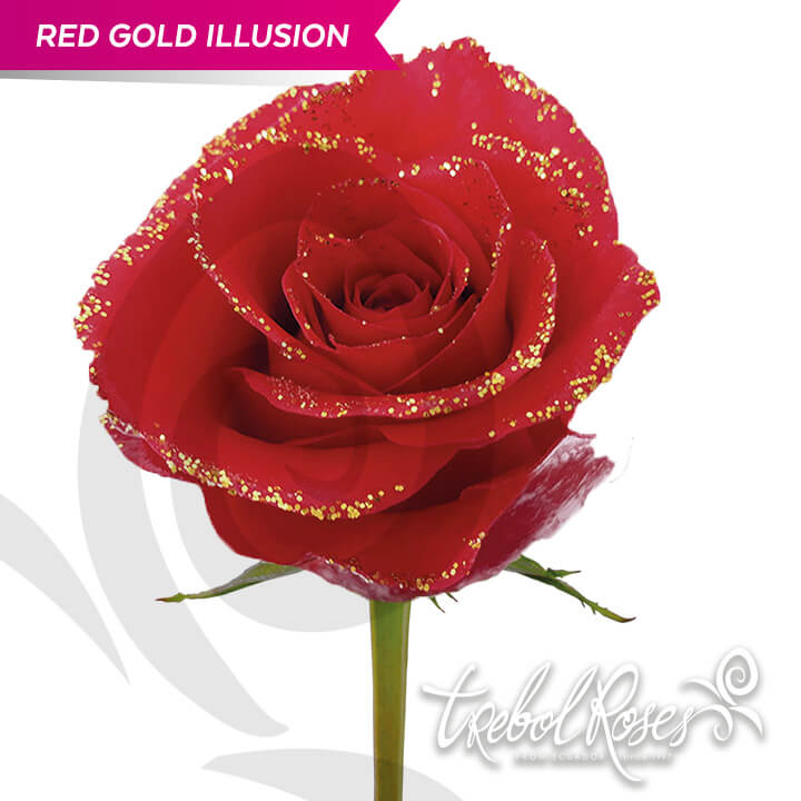 red-gold-illusion-glitter-tinted-trebolroses-web-2023