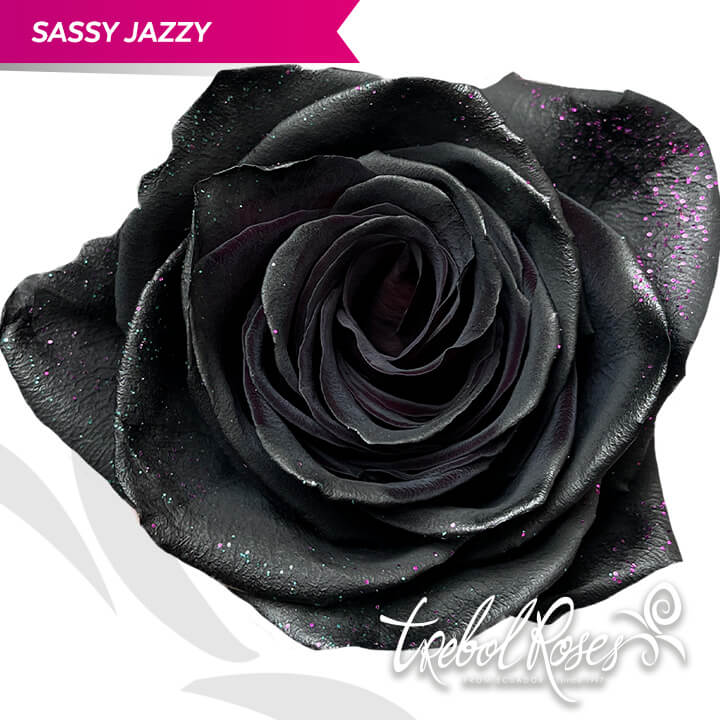 sassy-jazzy-glitter-tinted-trebolroses-web-2023